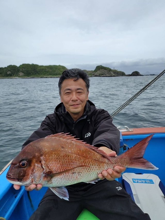 マダイ