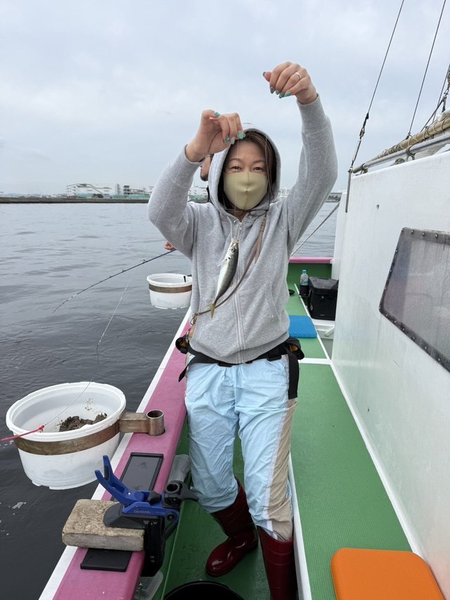 アジ(マアジ)