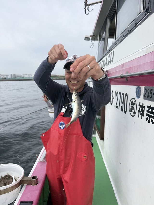 アジ(マアジ)