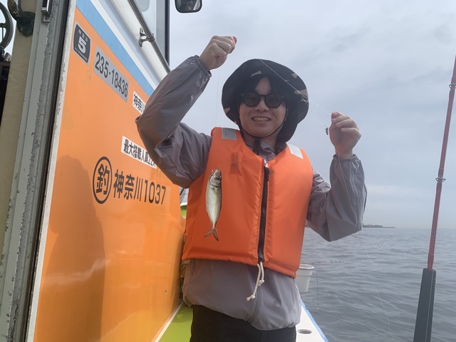 アジ(マアジ)