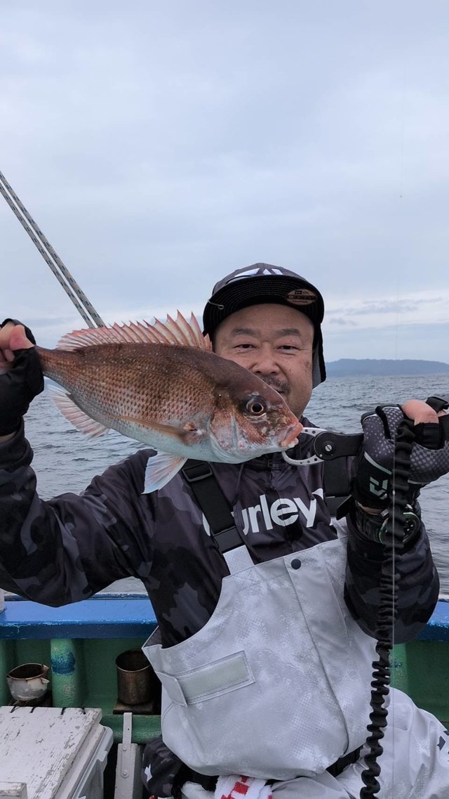 マダイ