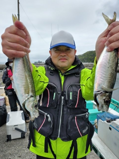 アジ(マアジ)