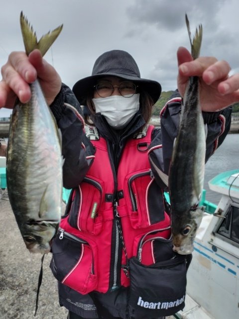 アジ(マアジ)