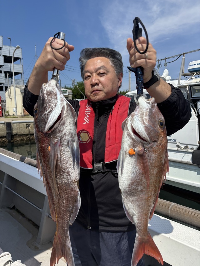 マダイ