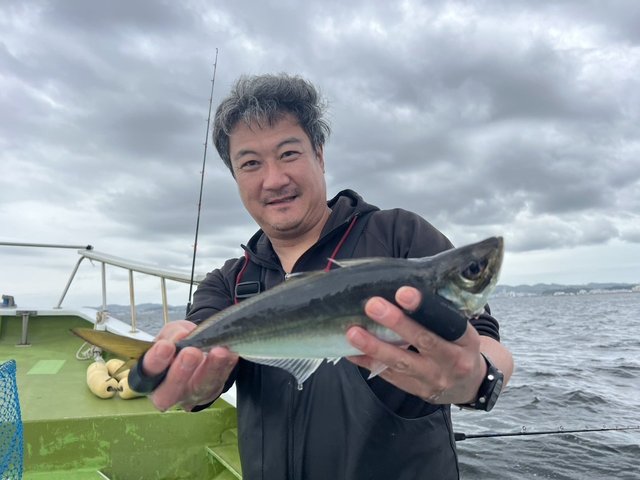 アジ(マアジ)