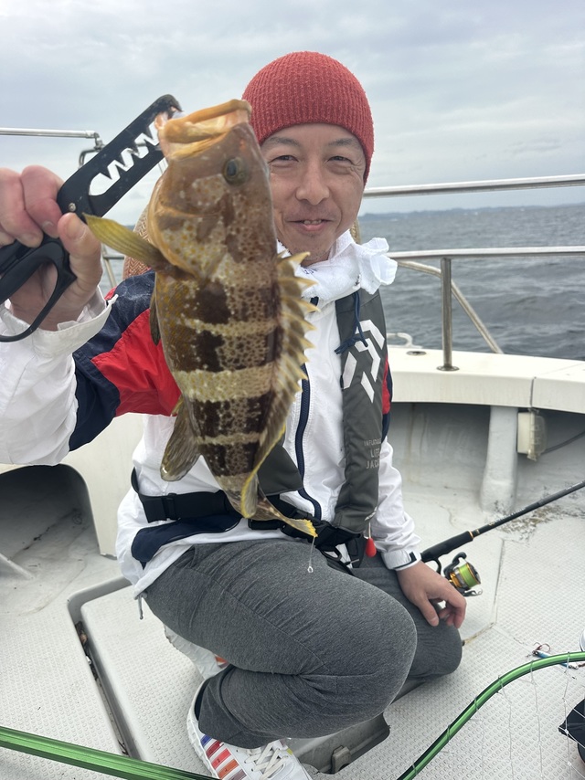 アオハタ
