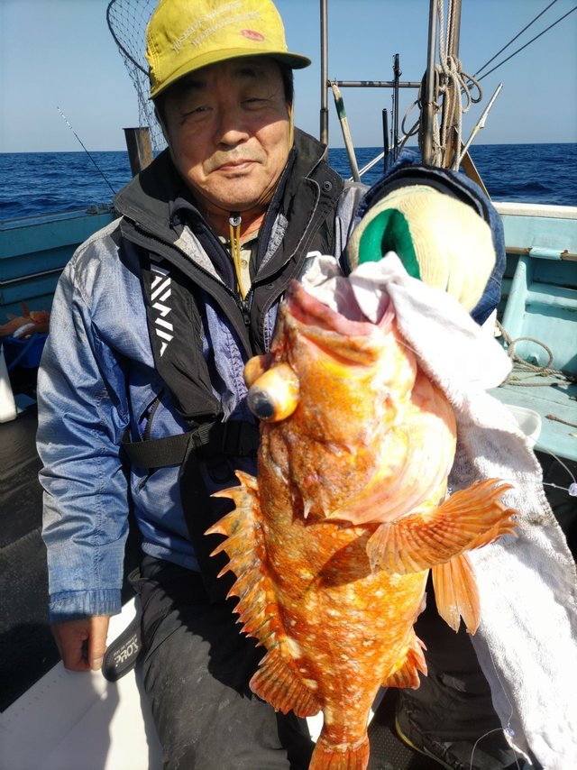 ウッカリカサゴ