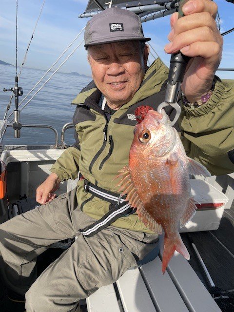 マダイ
