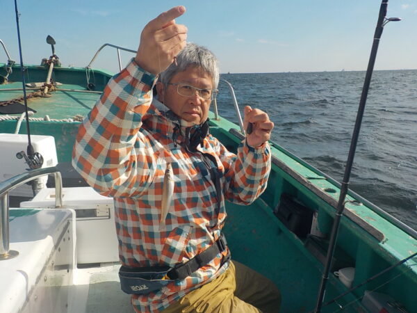シロギス