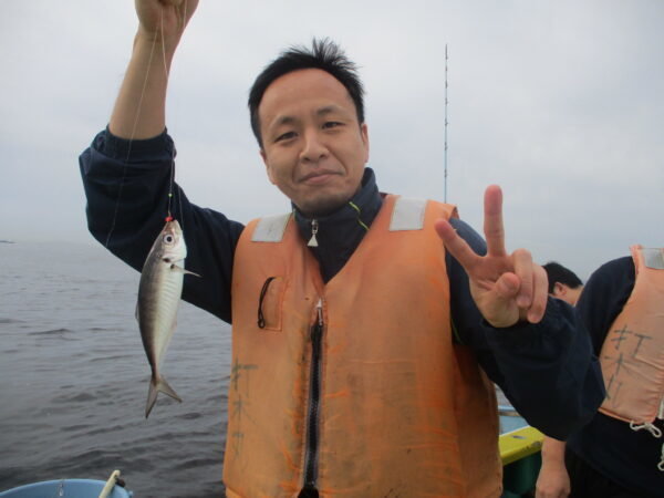 アジ(マアジ)