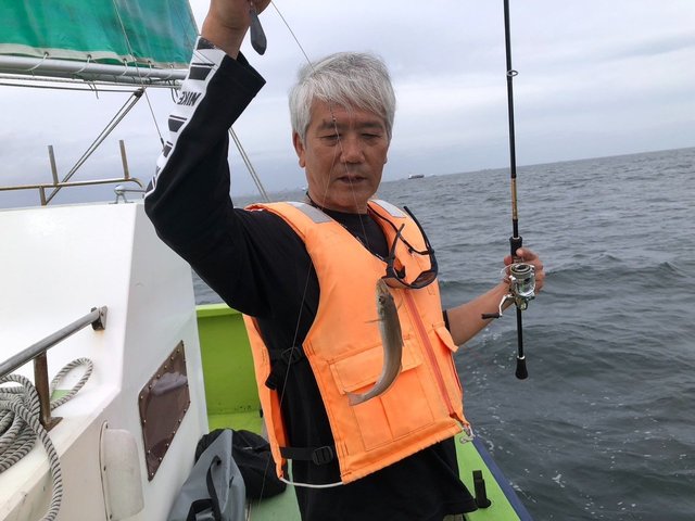 シロギス