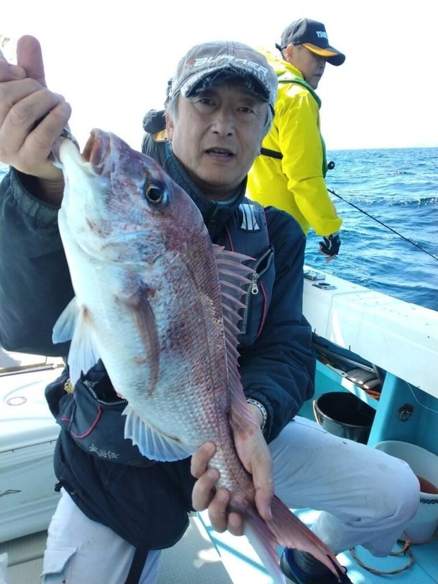 マダイ