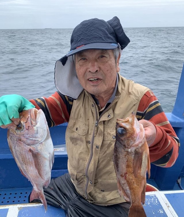 マダイ