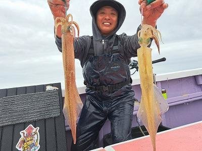 ヤリイカ