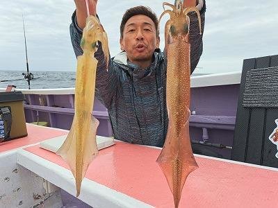 ヤリイカ