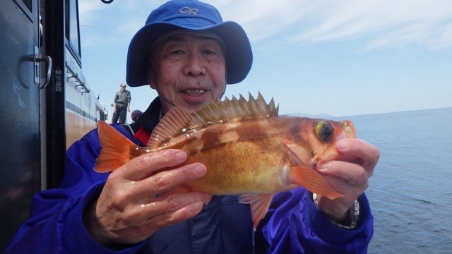 オキメバル(ウスメバル)