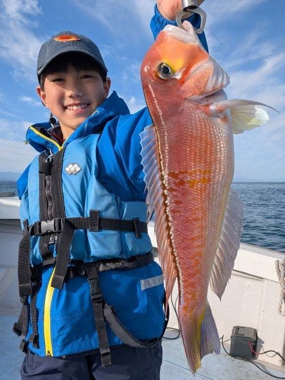 アマダイ(アカアマダイ)