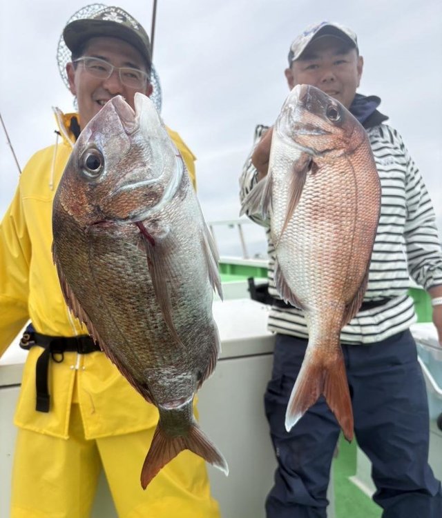 マダイ