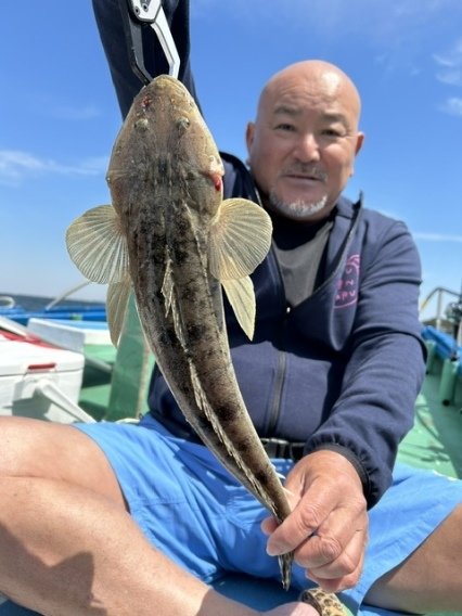 マゴチ