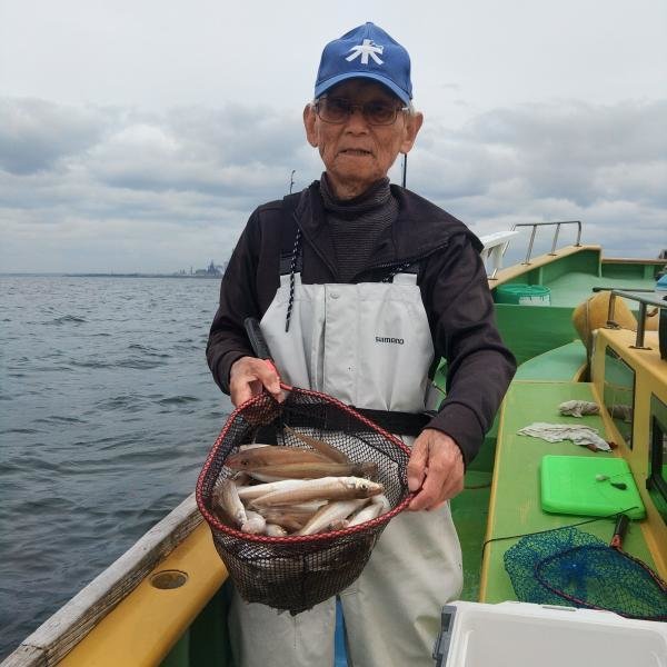 シロギス