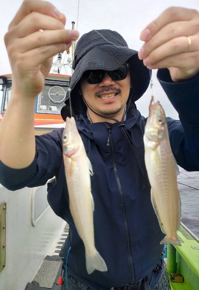 シロギス