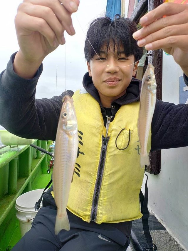 シロギス