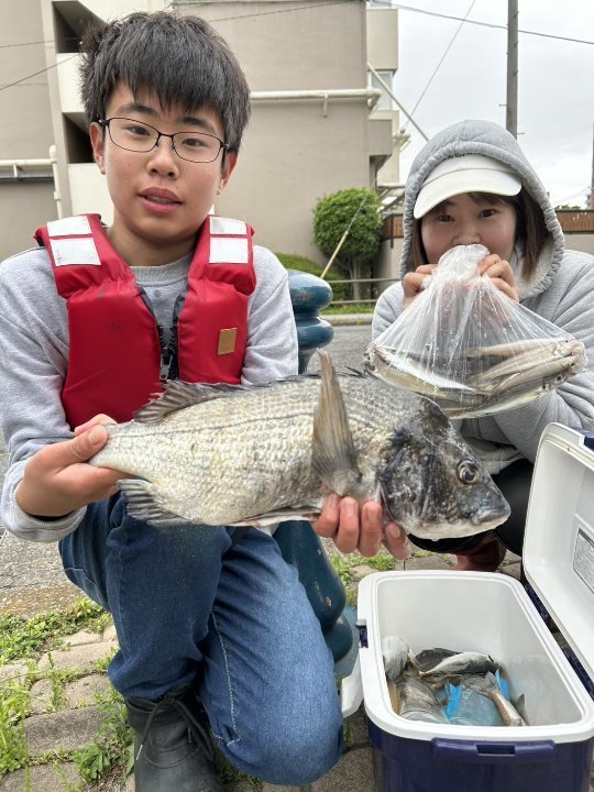 クロダイ・シロギス