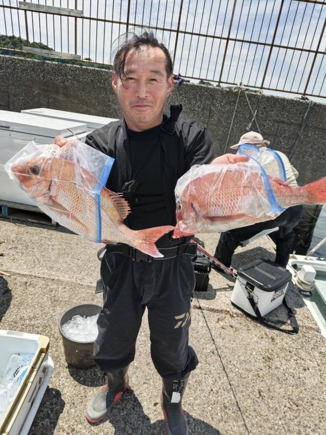マダイ