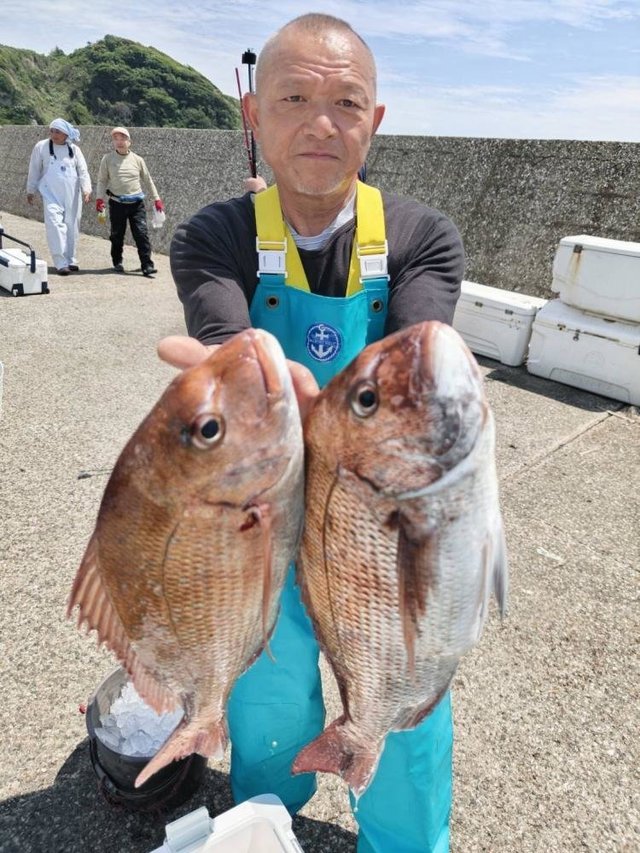 マダイ
