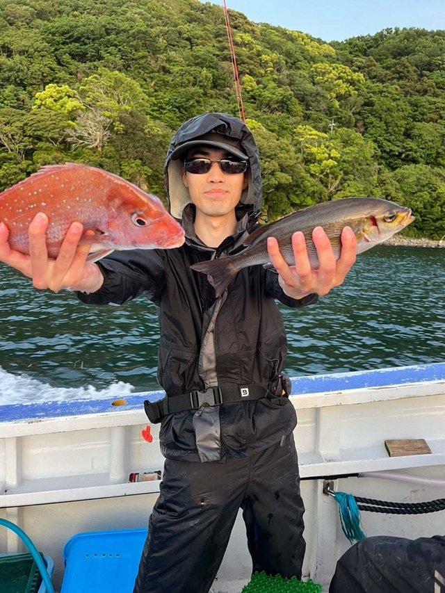 マダイ・イサキ