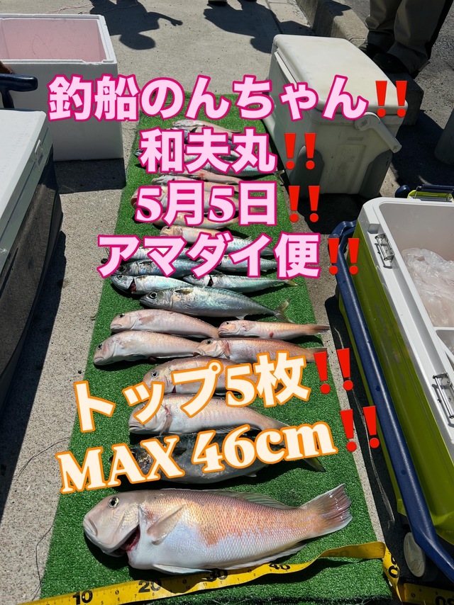 シロアマダイ