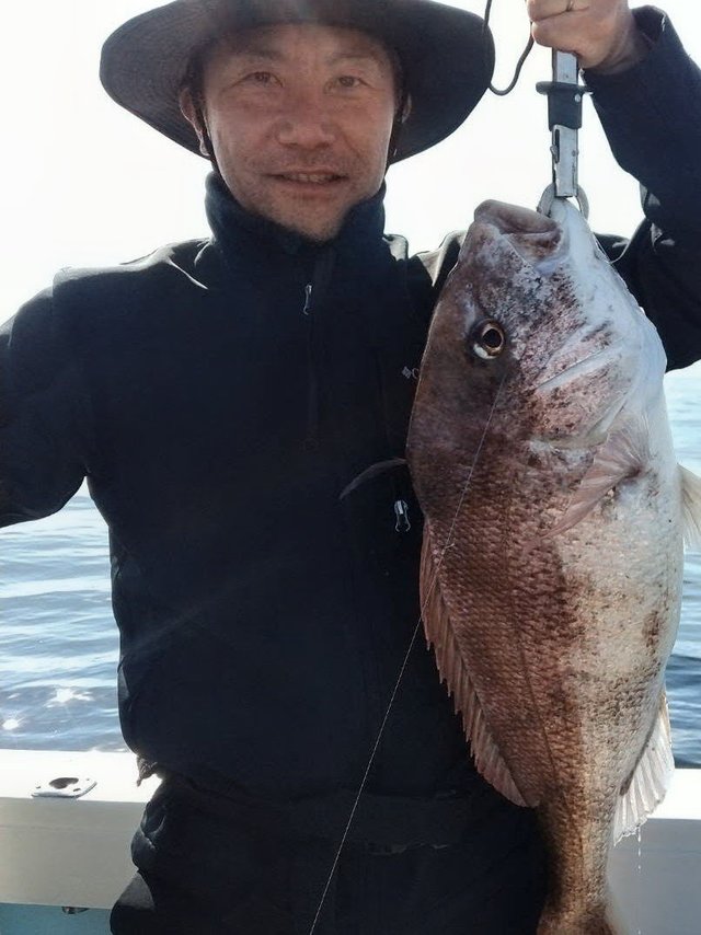 マダイ