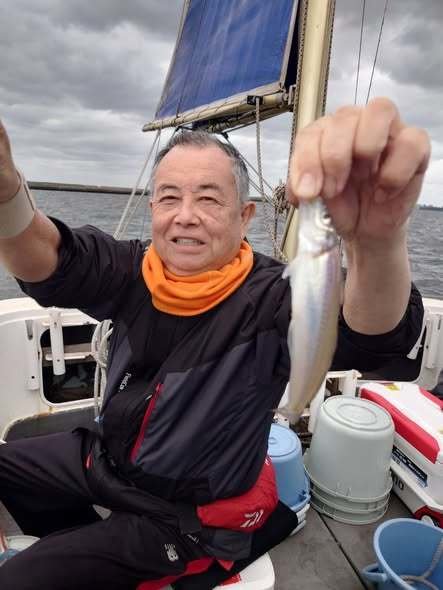 シロギス