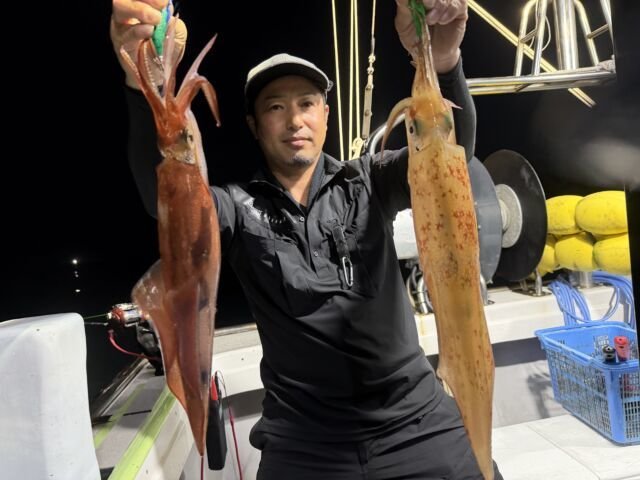 ケンサキイカ