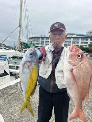 マダイ・ウメイロ