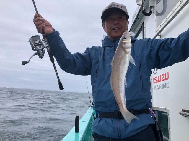 シロギス