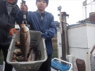 イサキ