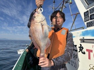 マダイ