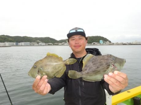 カワハギ