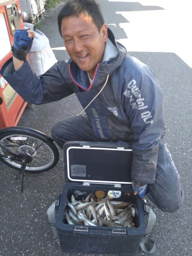 シロギス