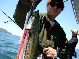 サワラ