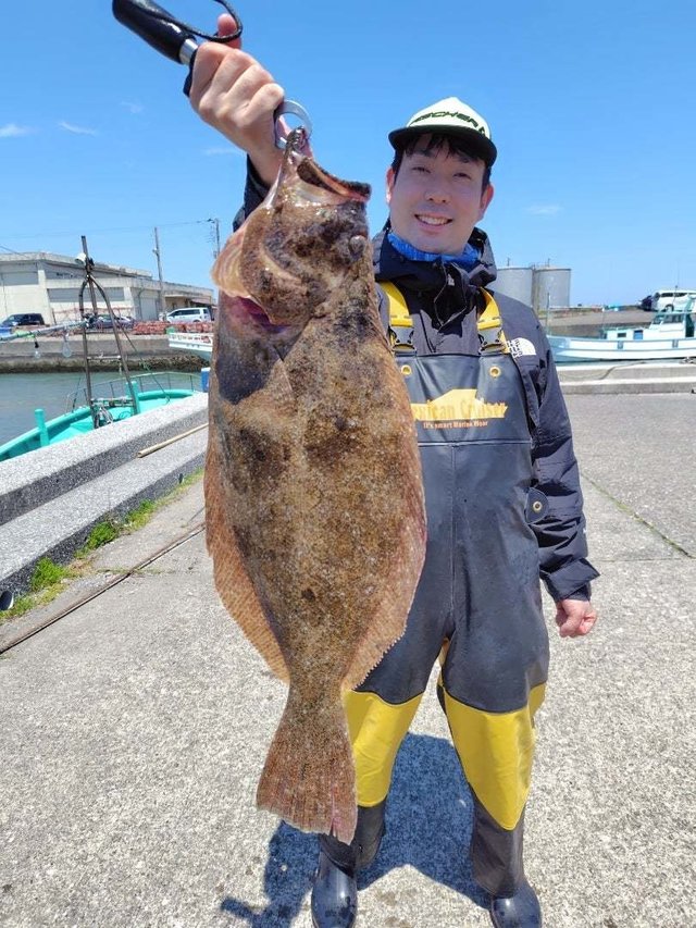 ヒラメ