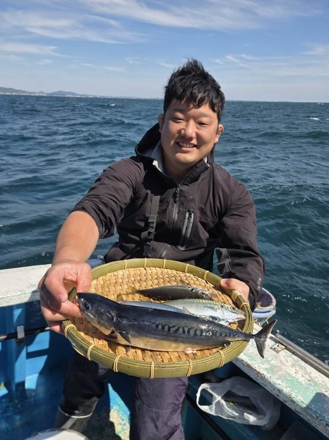 アジ(マアジ)