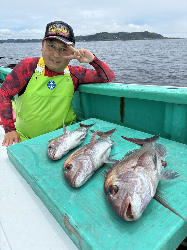 マダイ