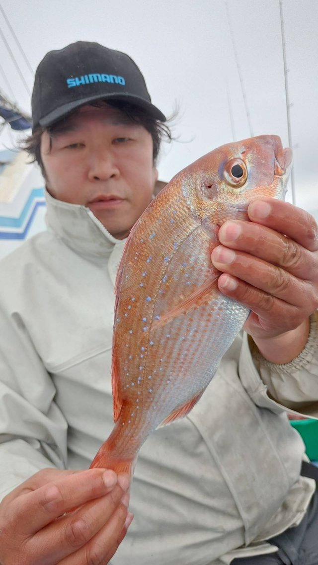 マダイ