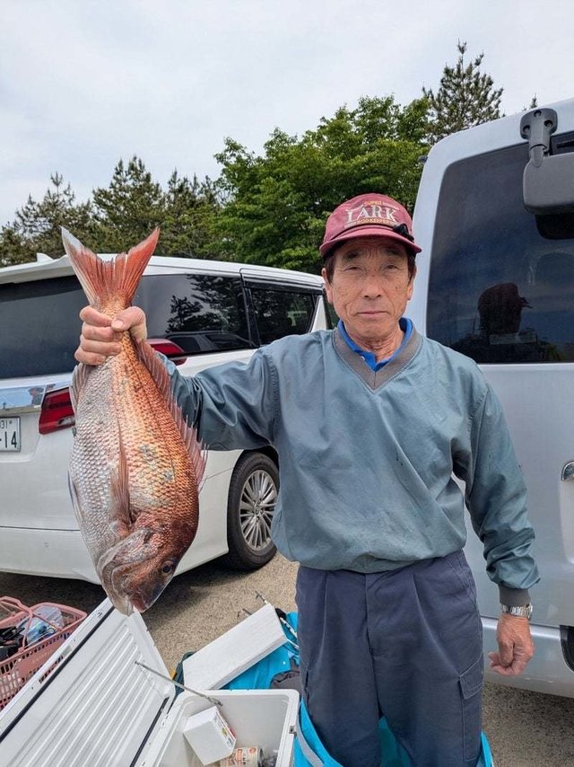 マダイ