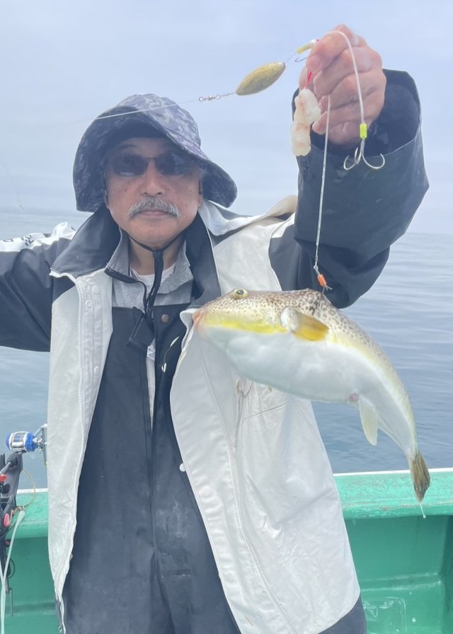ショウサイフグ
