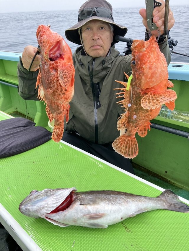 オニカサゴ