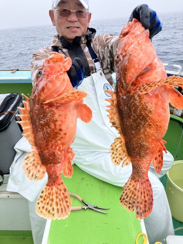 オニカサゴ
