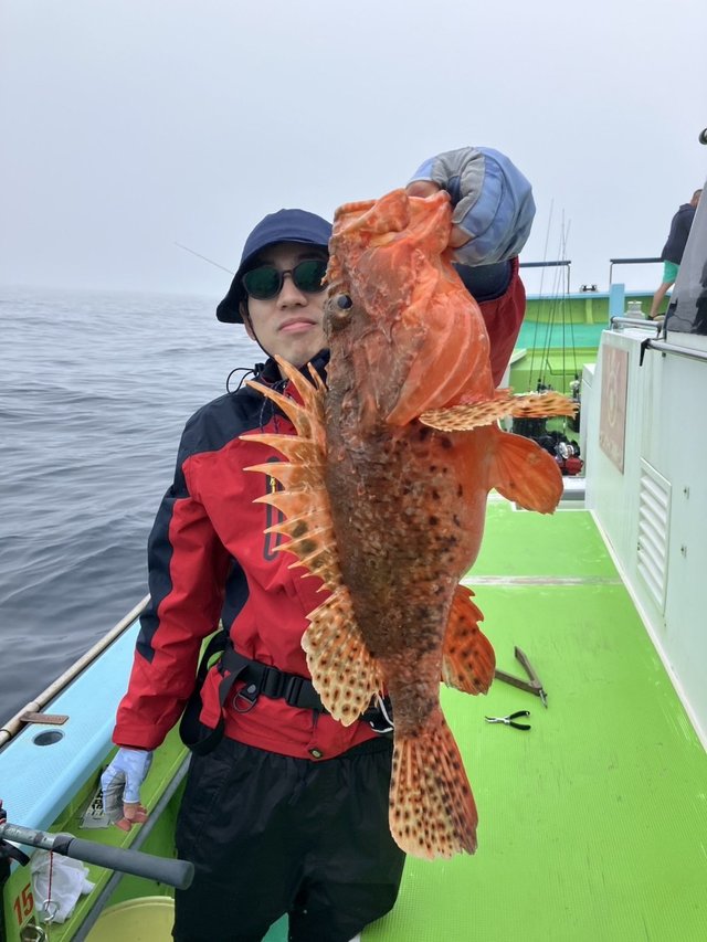 オニカサゴ
